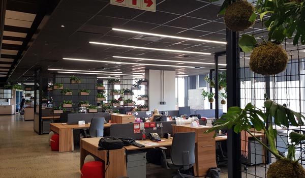 FMI Boardrooms & Open Office Area:  Sibaya